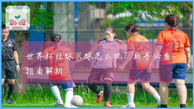 世界杯让球买球怎么玩？新手必看指南解析
