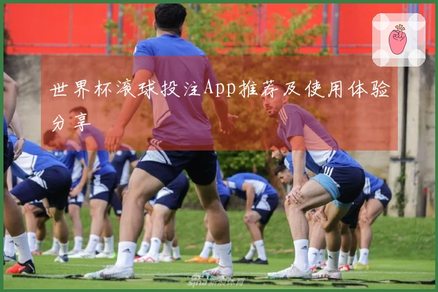 世界杯滚球投注App推荐及使用体验分享