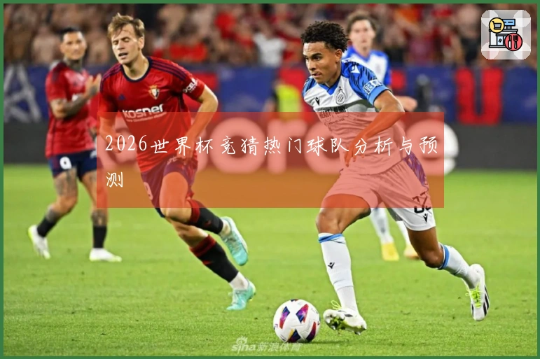 2026世界杯竞猜热门球队分析与预测