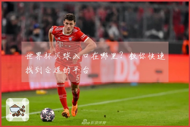世界杯买球入口在哪里？教你快速找到合适的平台