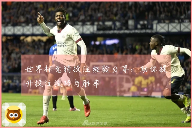 世界杯竞猜投注经验分享，助你提升投注技巧与胜率