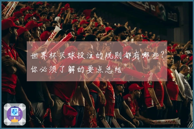 世界杯买球投注的规则都有哪些？你必须了解的要点总结
