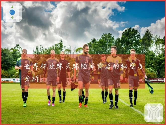 世界杯让球买球赔率背后的秘密与分析