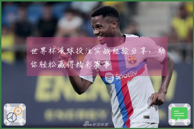 世界杯滚球投注实战经验分享，助你轻松赢得精彩赛事