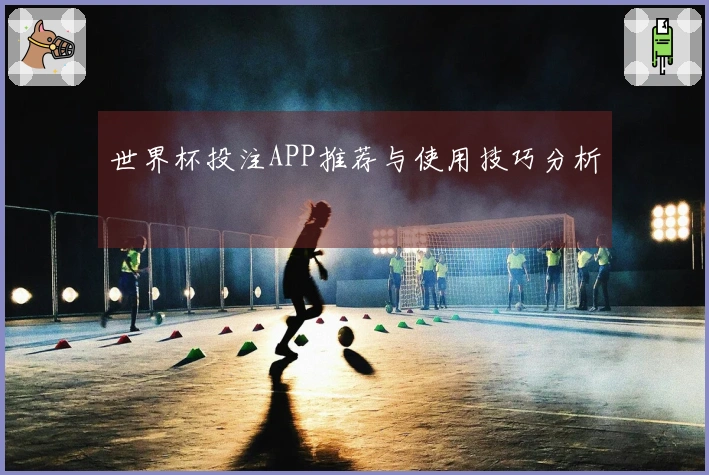 世界杯投注APP推荐与使用技巧分析