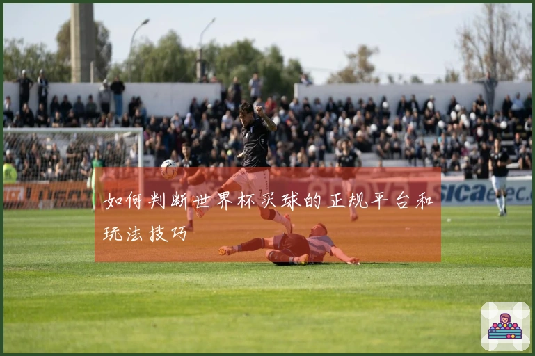 如何判断世界杯买球的正规平台和玩法技巧