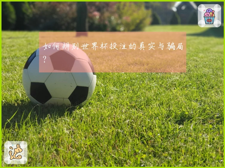 如何辨别世界杯投注的真实与骗局？