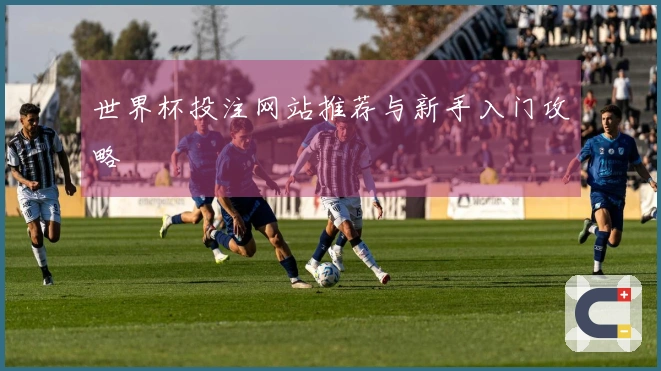 世界杯投注网站推荐与新手入门攻略