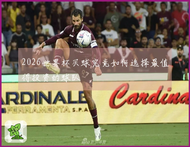2026世界杯买球究竟如何选择最值得投资的球队