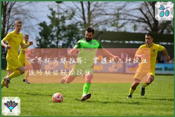 世界杯买球推荐：掌握这几种投注技巧助你轻松投注