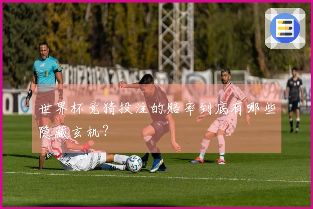 世界杯竞猜投注的赔率到底有哪些隐藏玄机？