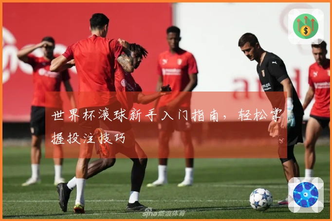 世界杯滚球新手入门指南，轻松掌握投注技巧