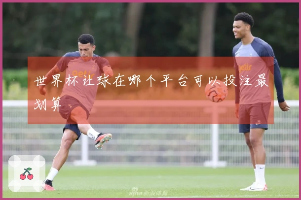 世界杯让球在哪个平台可以投注最划算