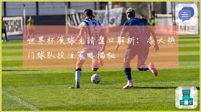 世界杯滚球竞猜盘口解析：各大热门球队投注策略揭秘