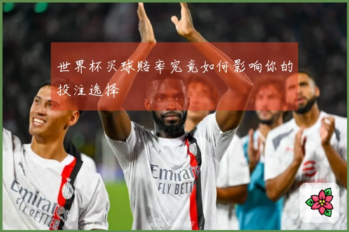世界杯买球赔率究竟如何影响你的投注选择