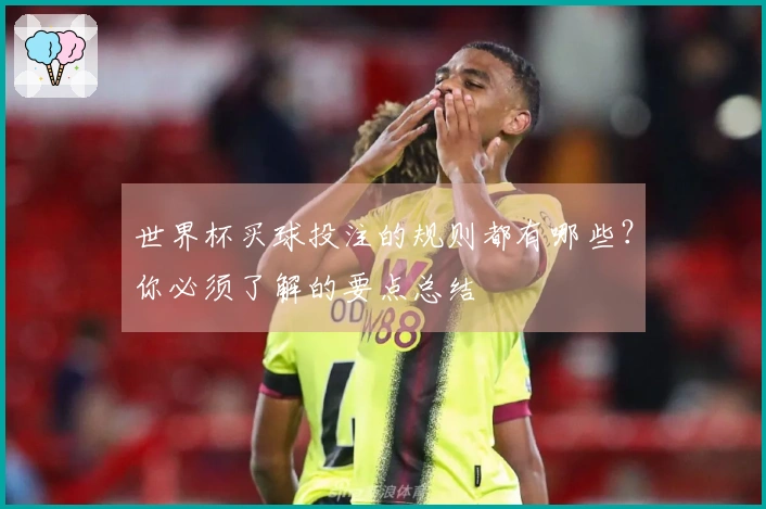 世界杯买球投注的规则都有哪些？你必须了解的要点总结