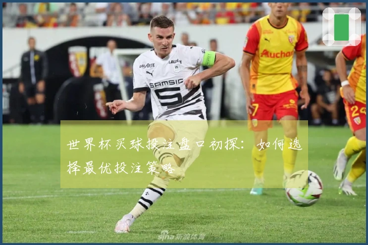 世界杯买球投注盘口初探：如何选择最优投注策略