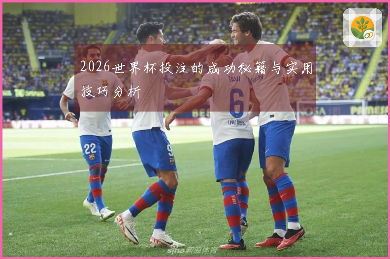 2026世界杯投注的成功秘籍与实用技巧分析
