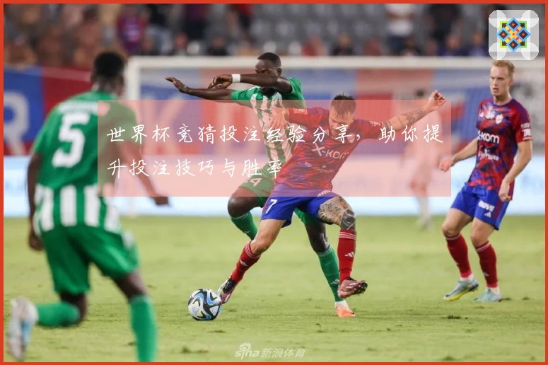 世界杯竞猜投注经验分享，助你提升投注技巧与胜率