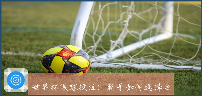 世界杯滚球投注：新手如何选择合适的投注方式